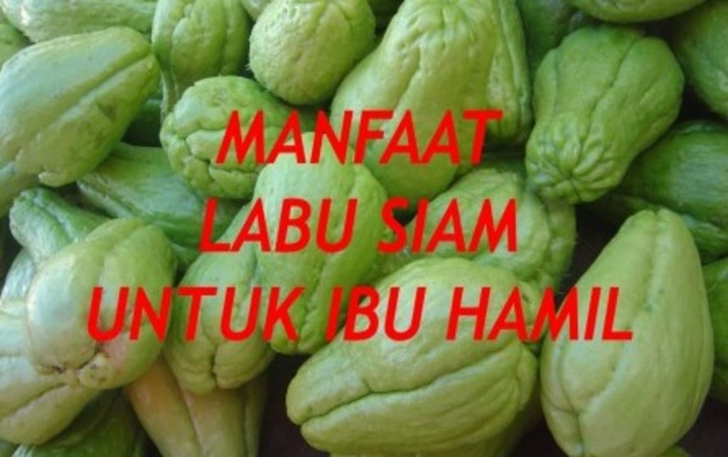 Manfaat Labu Siam Untuk Ibu Hamil