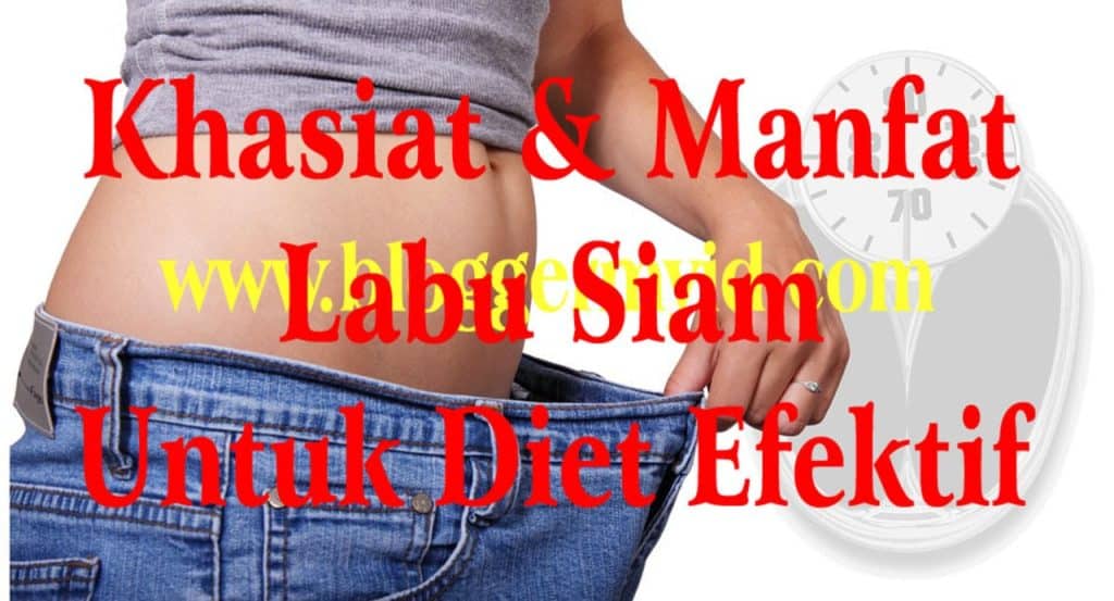 Khasiat Dan Manfaat Labu Siam Untuk Program Diet Anda